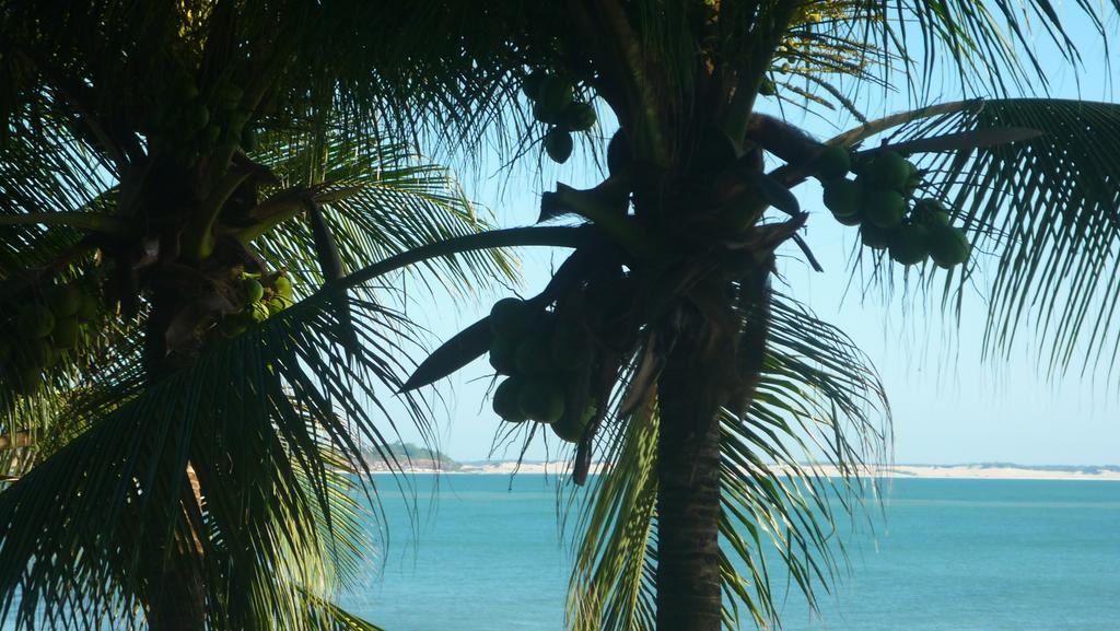 Hostel Casa De Jack Praia de Pipa 外观 照片